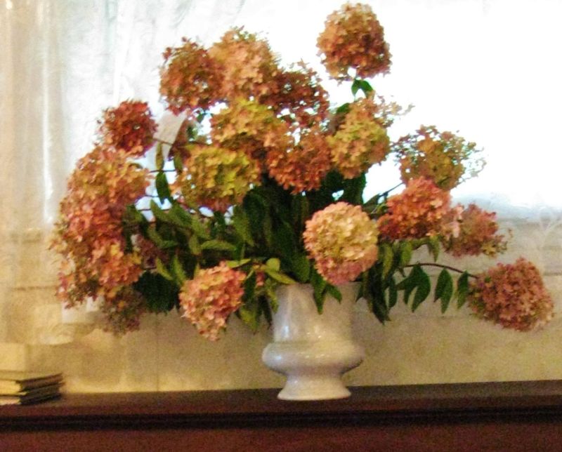flowers2